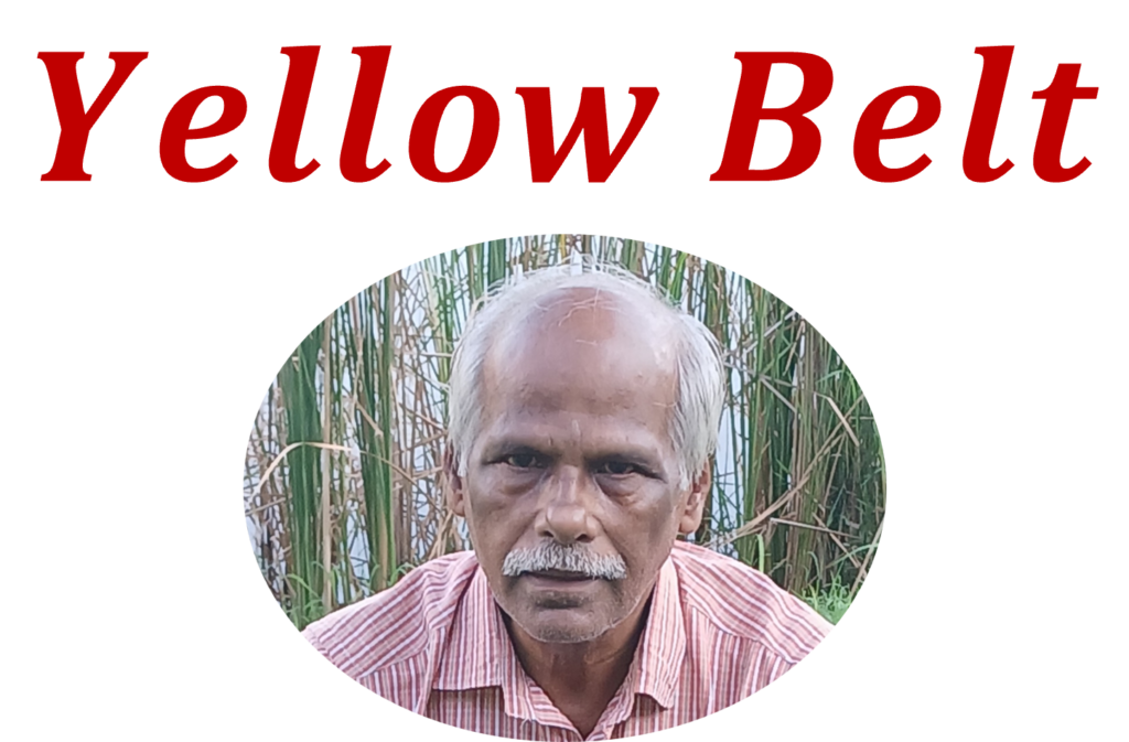 Yellow Belt